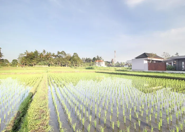 Padma Bali At Sayan - Ubud, A Trishula Collection 4*
