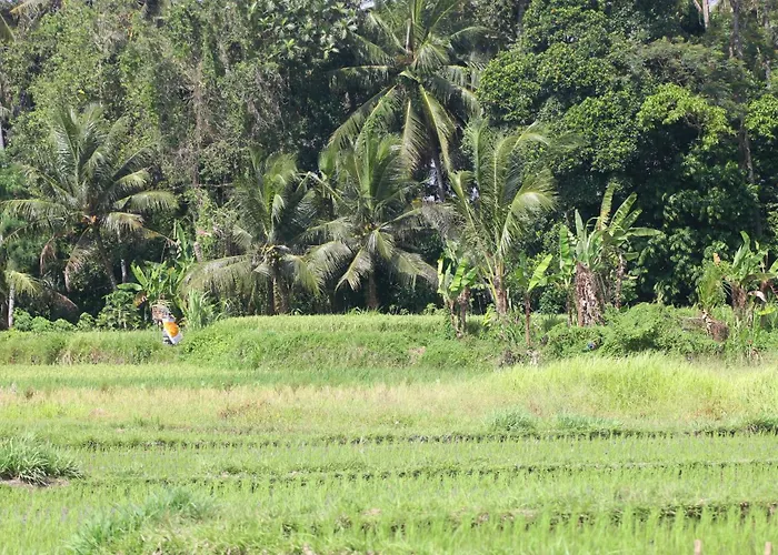 Padma Bali At Sayan - Ubud, A Trishula Collection Frühstückspension 4*